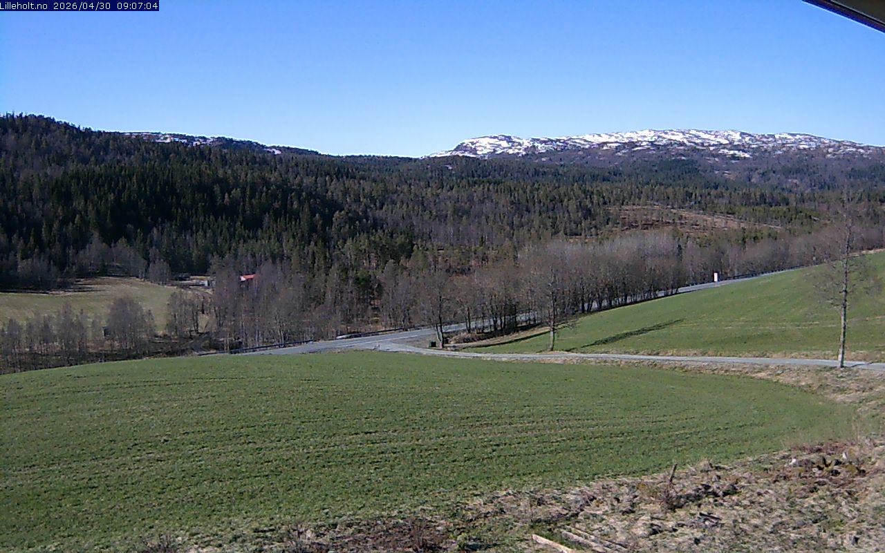 Webcam Litjholtan, Meldal, Trøndelag, Norwegen