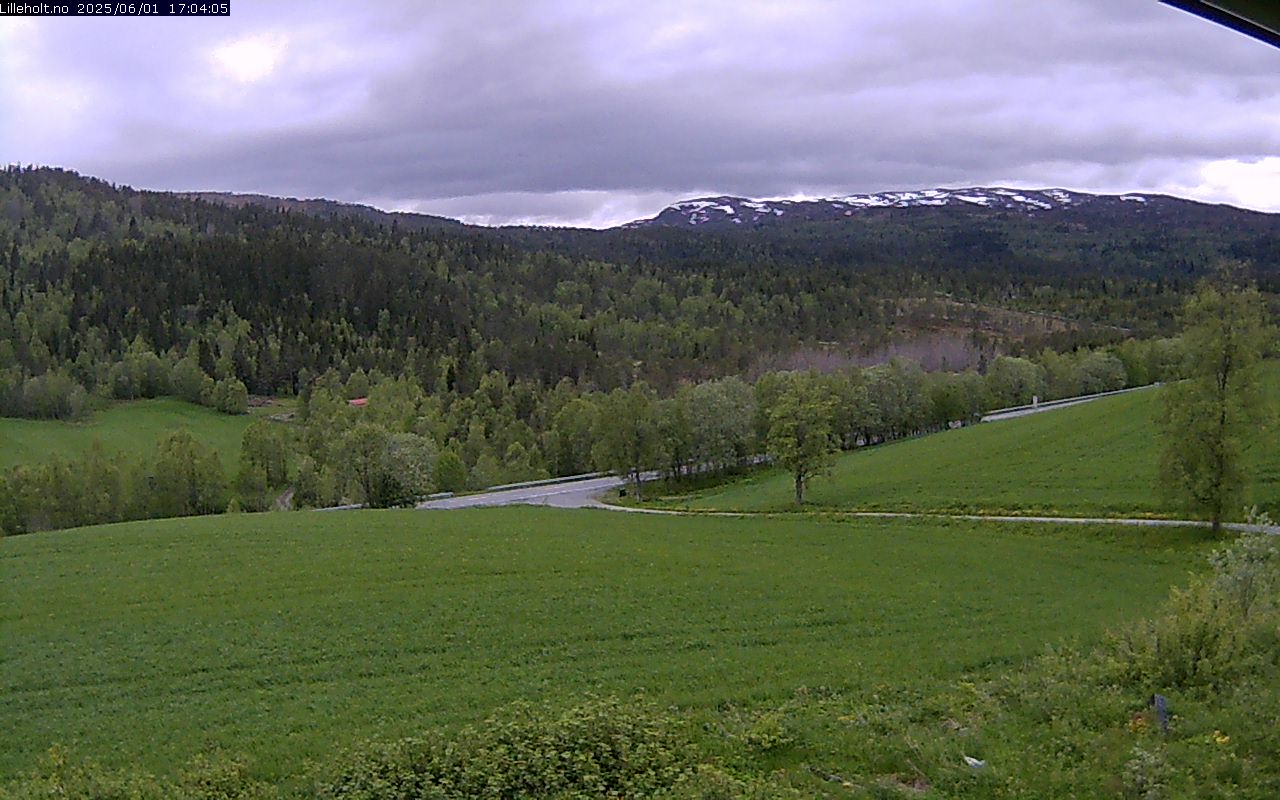 Webcam Litjholtan, Meldal, Trøndelag, Norwegen