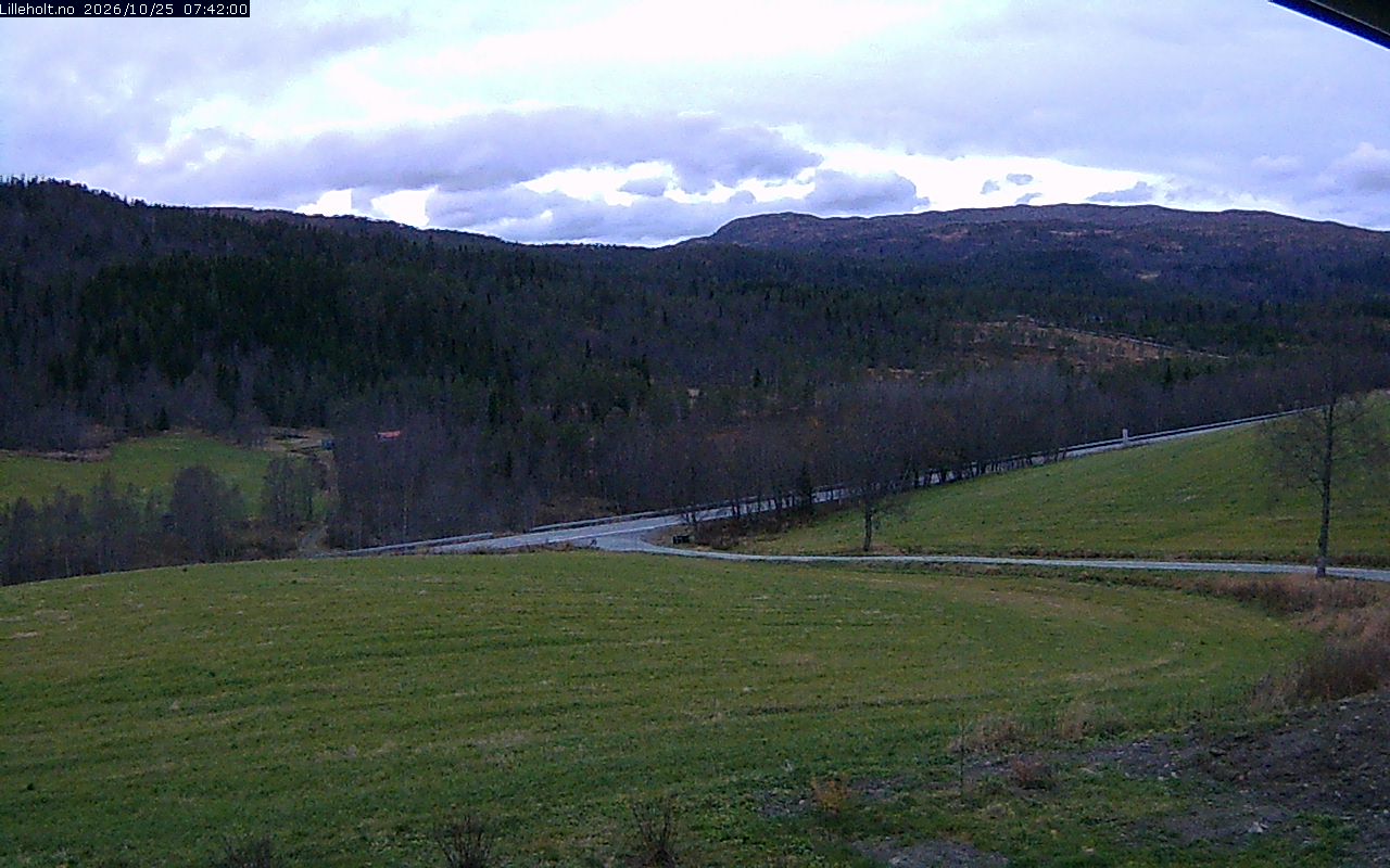 Webcam Litjholtan, Meldal, Trøndelag, Norwegen
